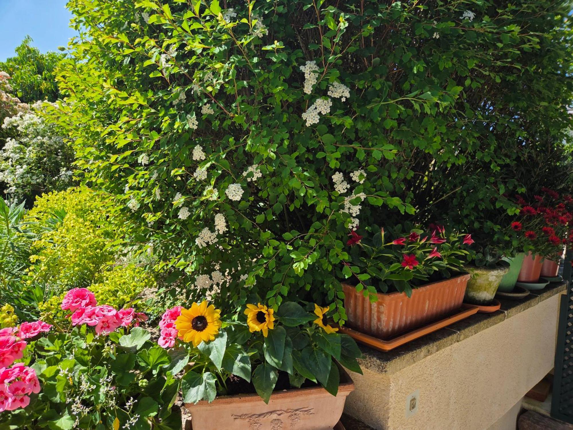 Villa Clair Logis à Giverny Extérieur photo